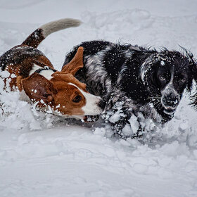 ������� !!!